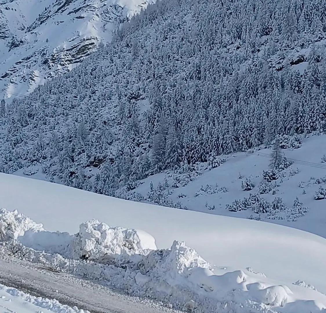 Nido Tra Le Valli Livigno Apartment